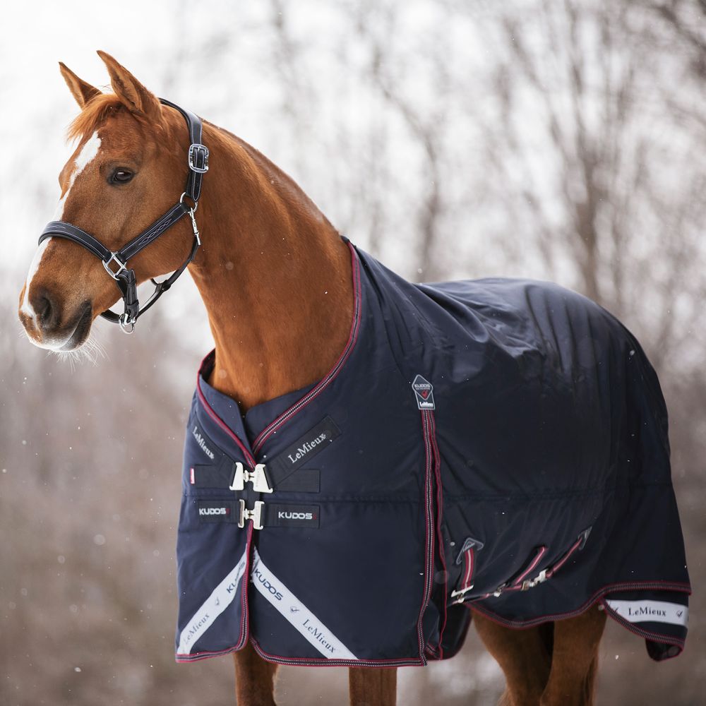 LeMieux® Kudos 100g Lightweight Turnout Blanket