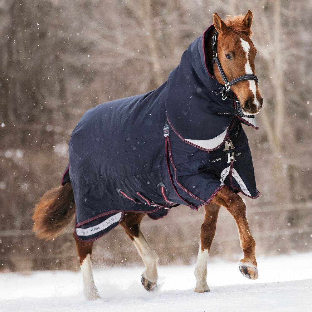 LeMieux® Kudos 200g Medium Weight Turnout Blanket