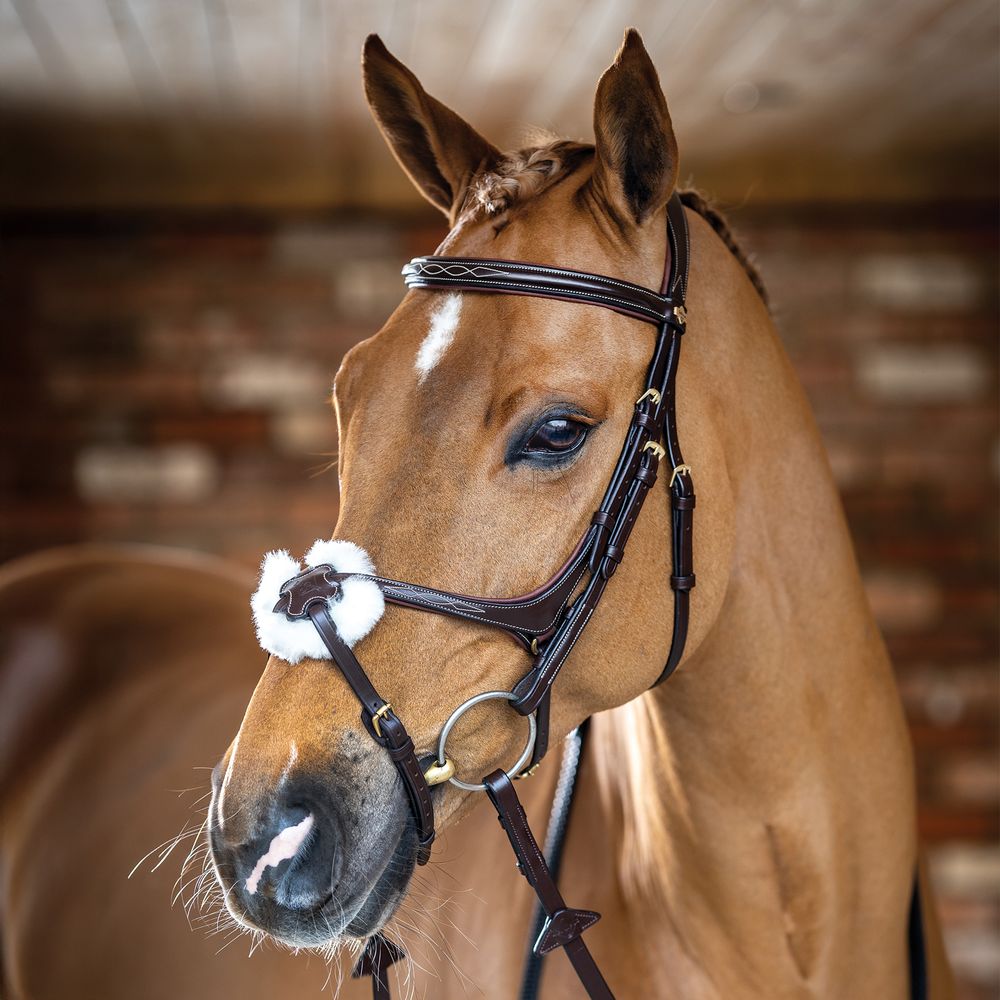 LeMieux® Kudos Grackle Bridle