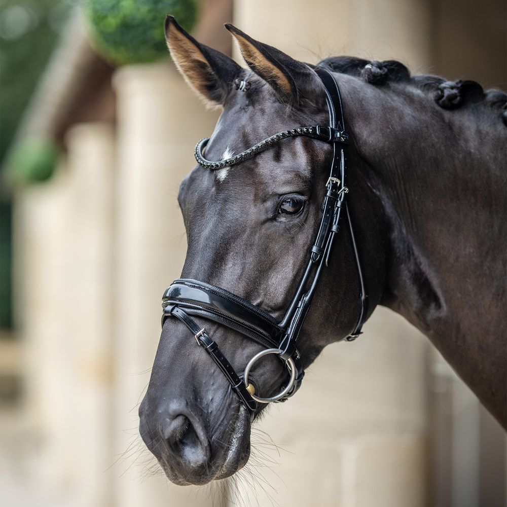 LeMieux Kudos Patent Dressage Bridle