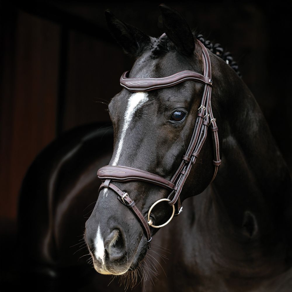 LeMieux® Kudos Contour Flash Bridle