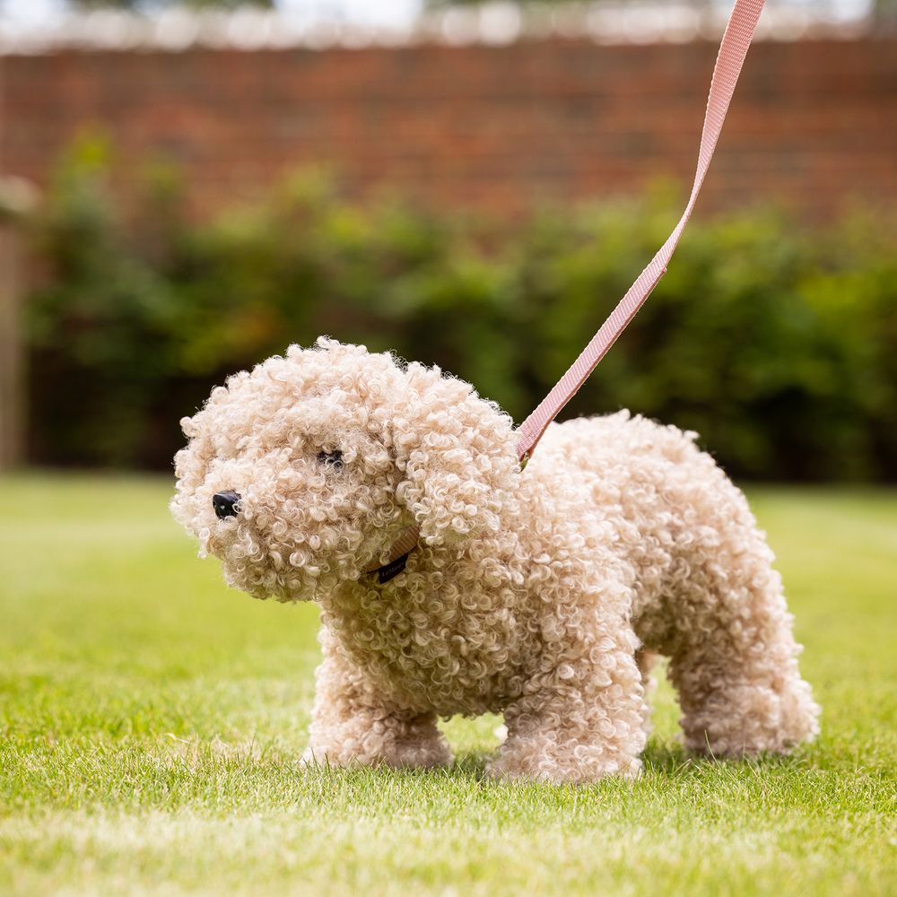 LeMieux® Toy Puppy Chester