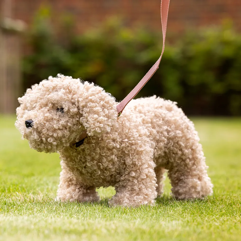 LeMieux® Toy Puppy - Chester | Schneiders