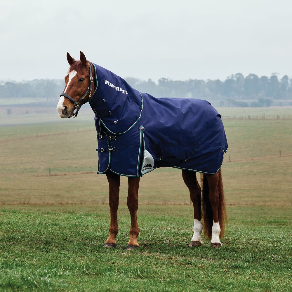 Weatherbeeta Comfitec Plus Dynamic Detach-A-Neck 220G Turnout Blanket