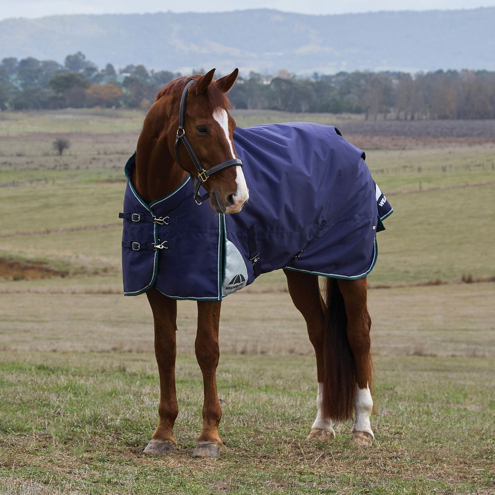 Weatherbeeta Comfitec Plus Dynamic Standard Neck 100G Turnout Blanket
