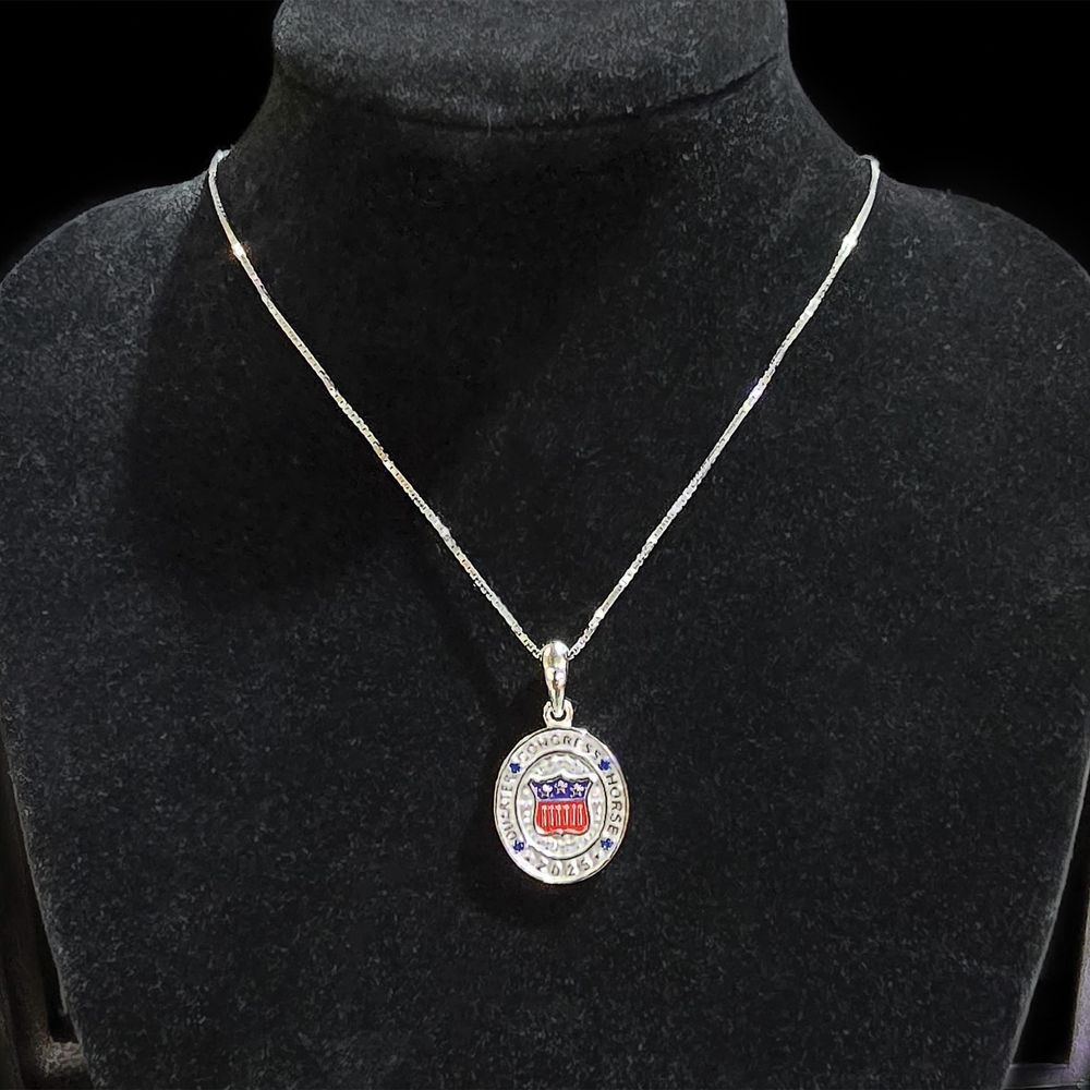 2025 Congress Silver Necklace