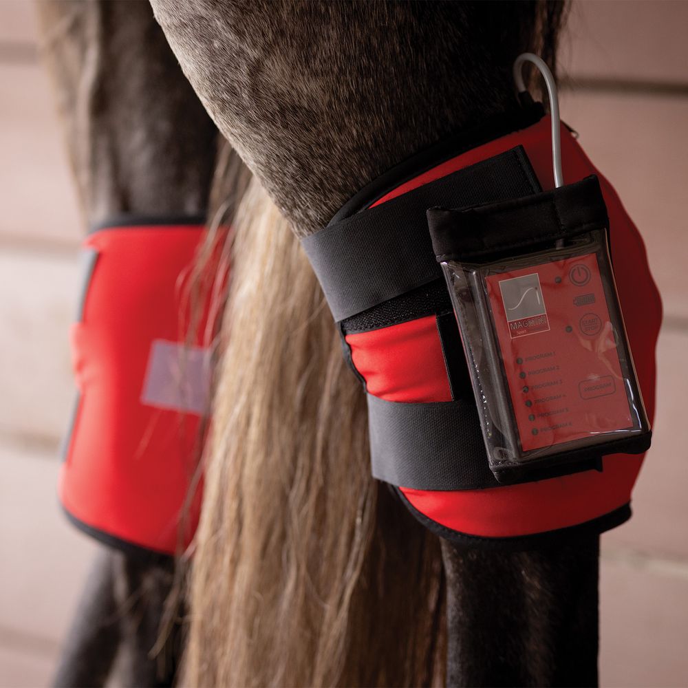 Sport Innovations Magnetic Equine Hock Wraps
