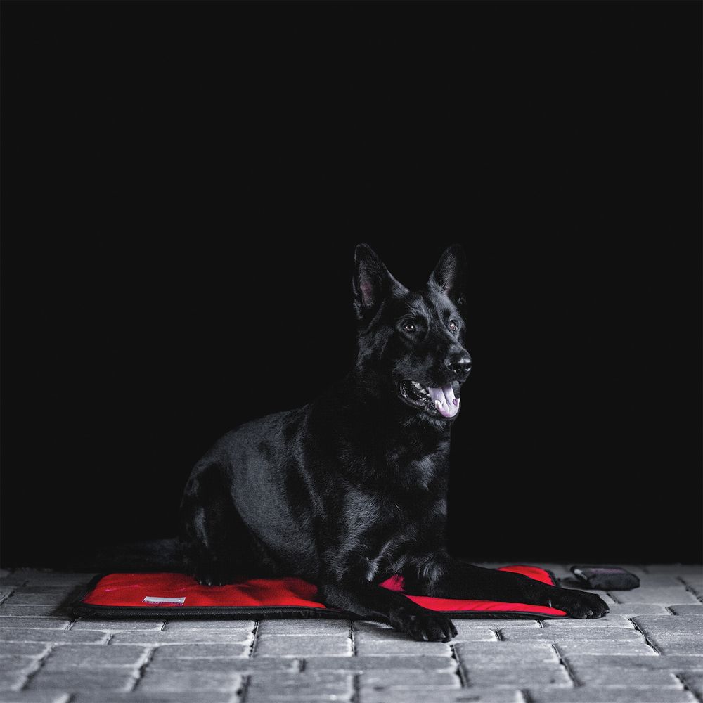 Sport Innovations Magnetic Dog Mat X-Large