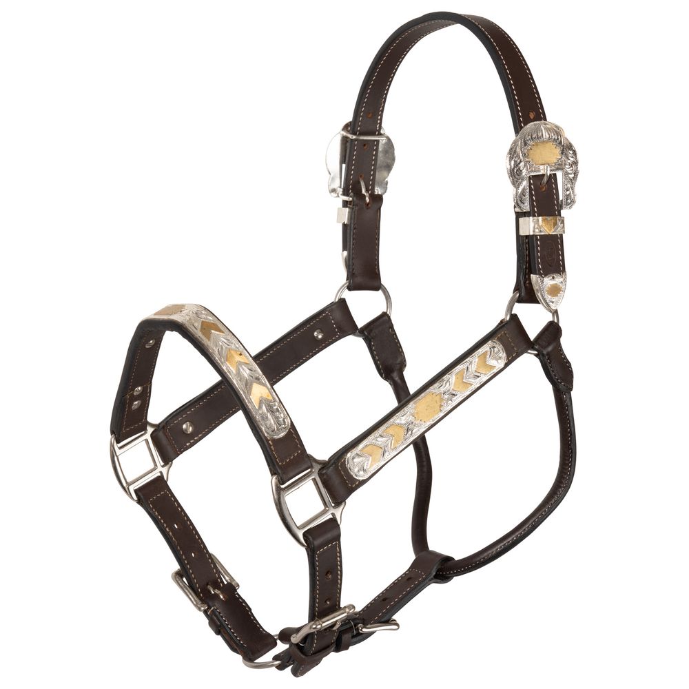 Phoenix Silver Show Halter with Lead - Lightly Blemished