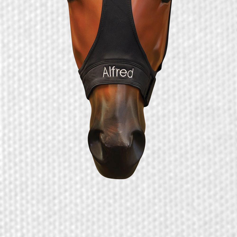 SLICKER NOSEBAND EMBROIDERY - 1 LINE