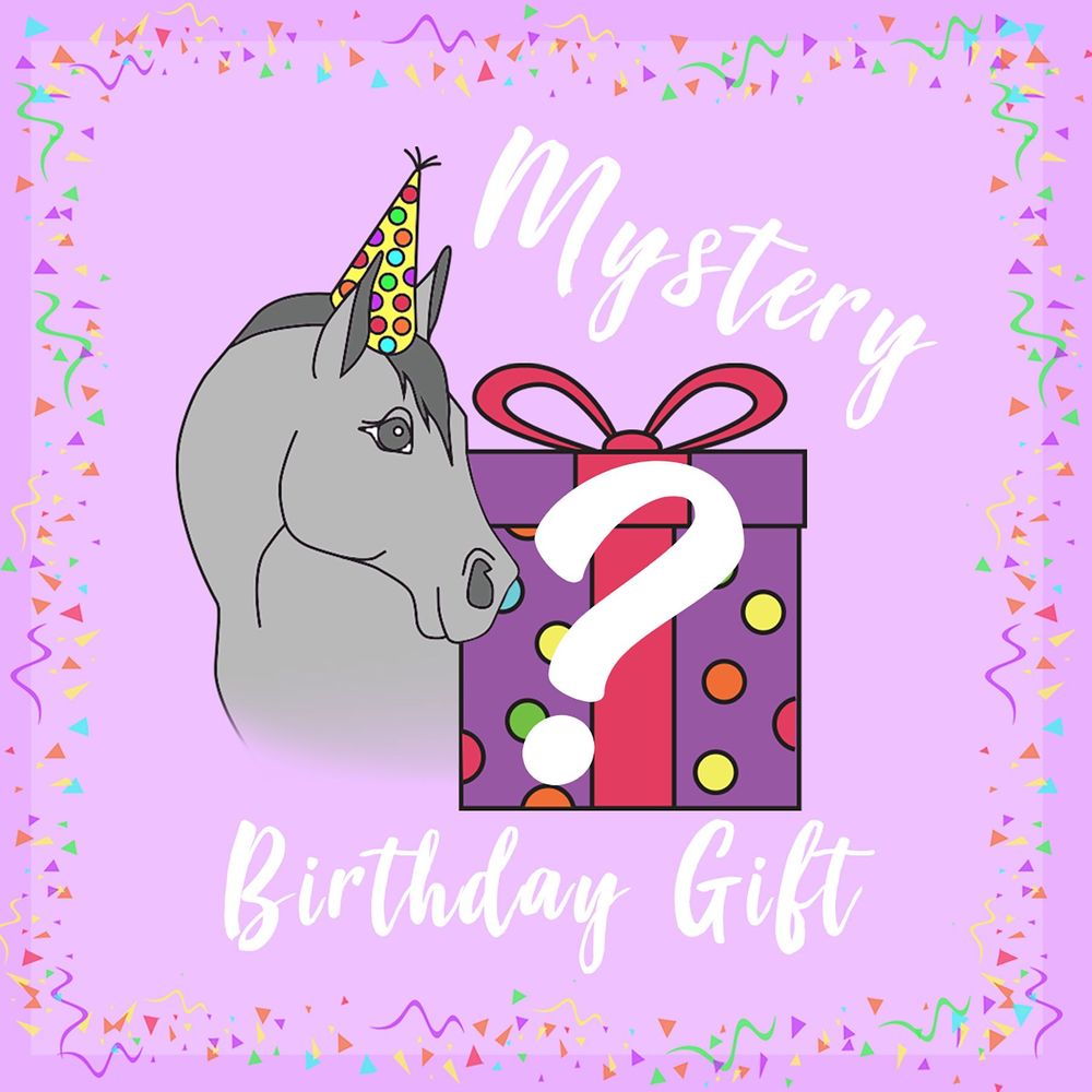 Mystery Birthday Gift