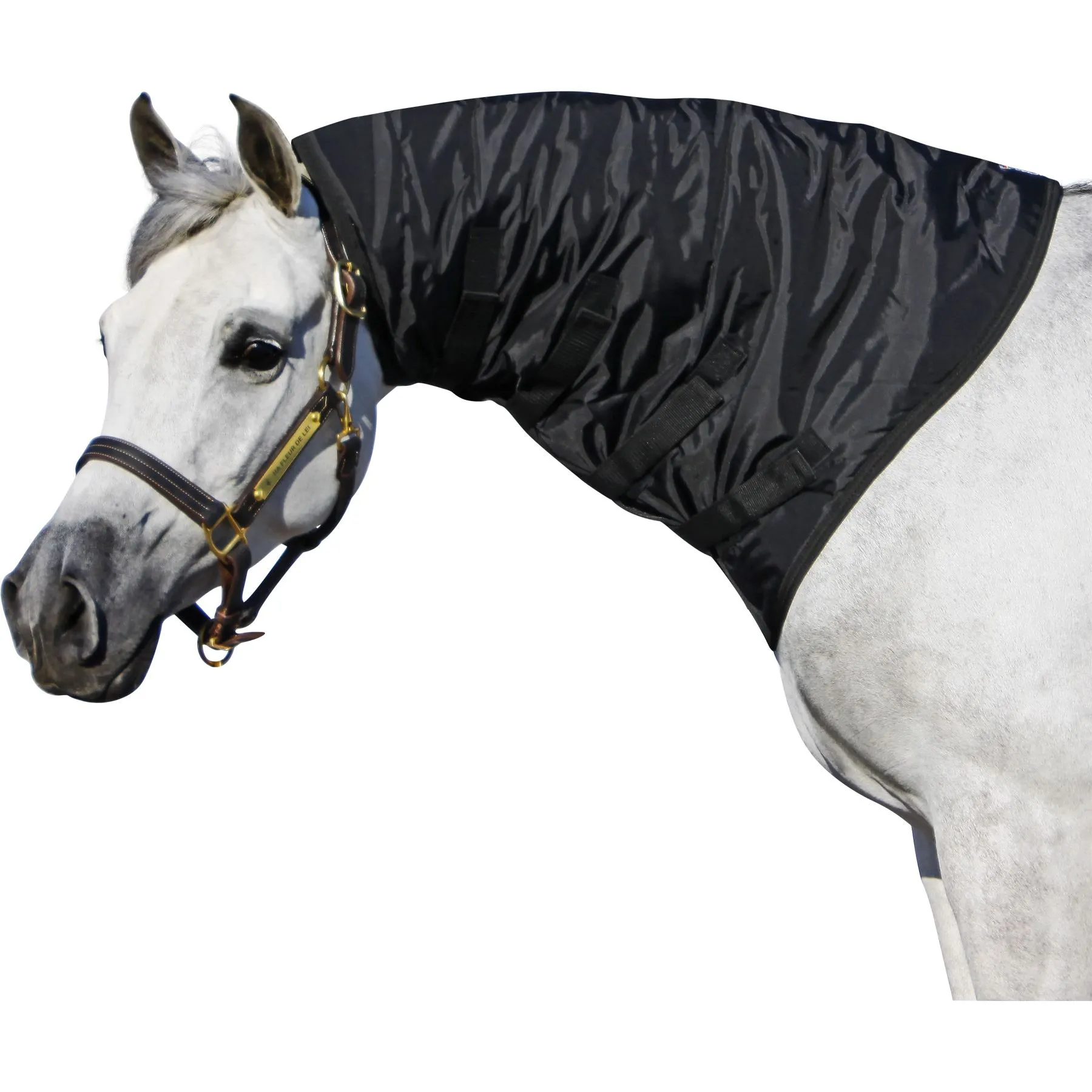 Kit Cinghie E Controcinghie Chiusura Cofano Anteriore Mehari Grigie - Foto 8