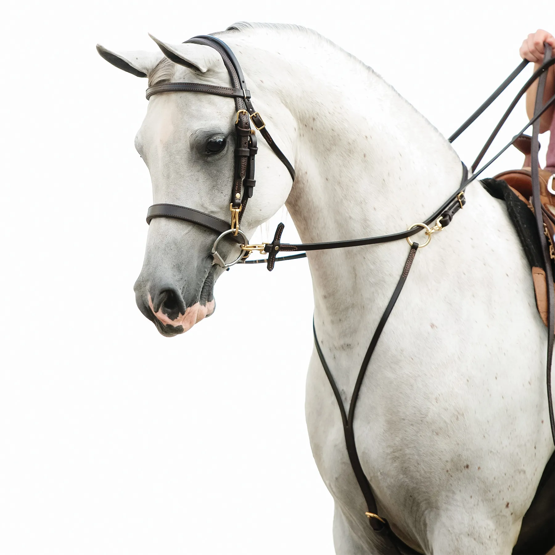 Shires Salisbury Martingale Da Corsa Per Cavalli - Nero Taglia Cob - Foto 11