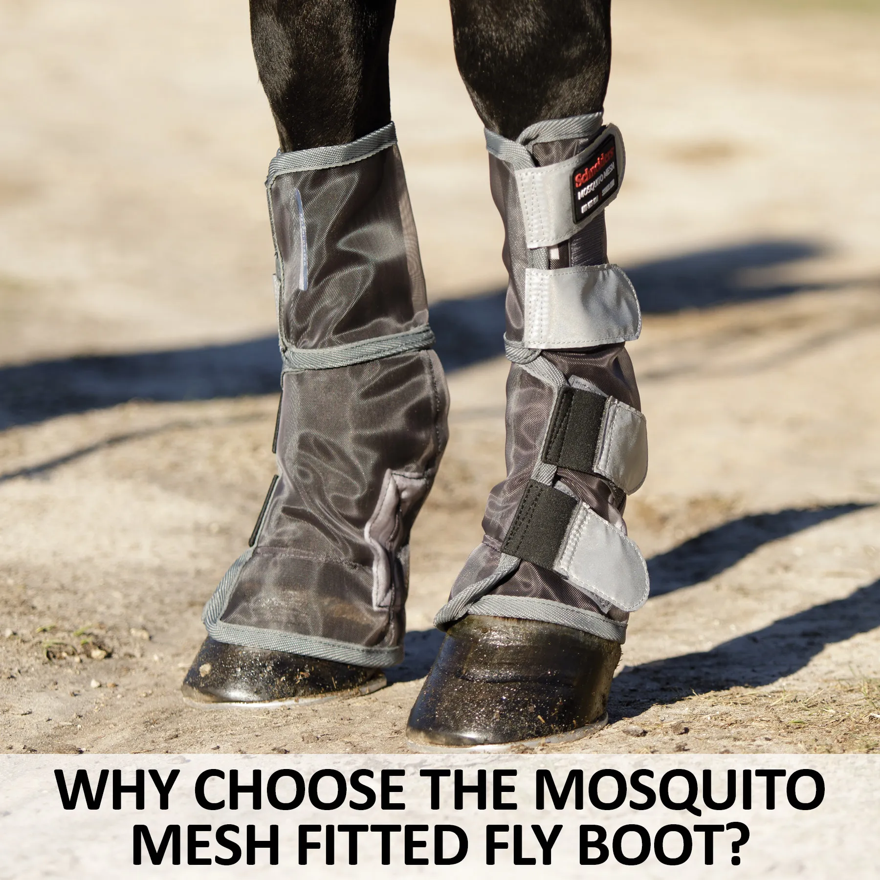 Mini Horse Fly Boots: Ultimate Protection for Happy Hooves