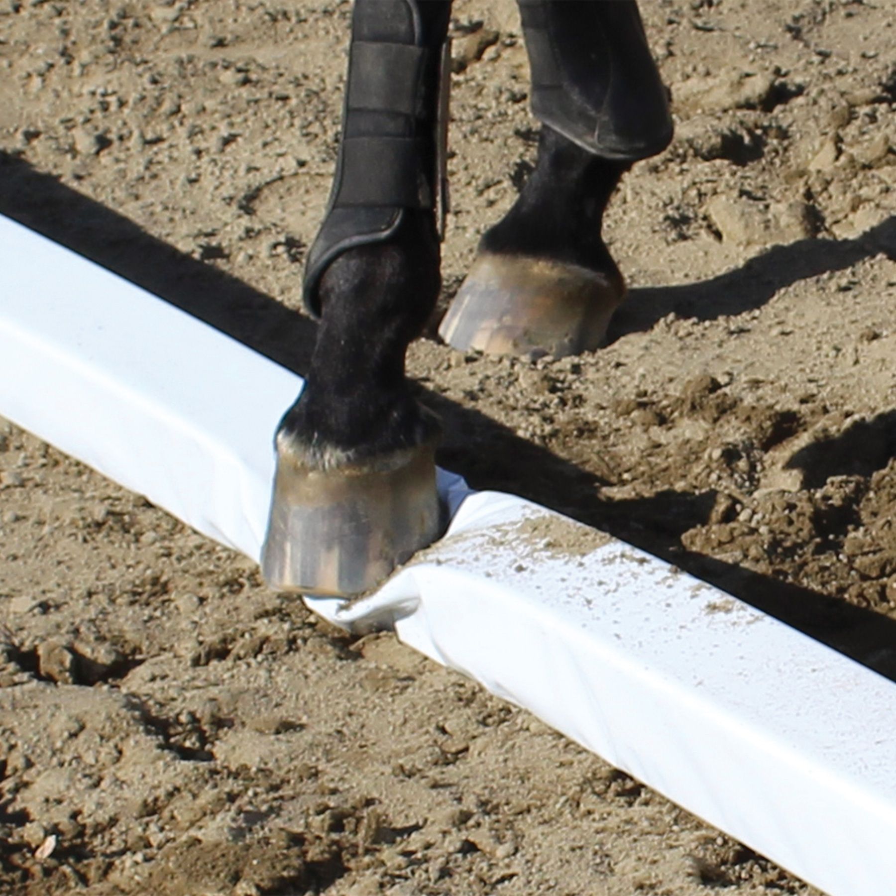 Burlingham Sports Soft Rails - Set of 6 | Schneiders